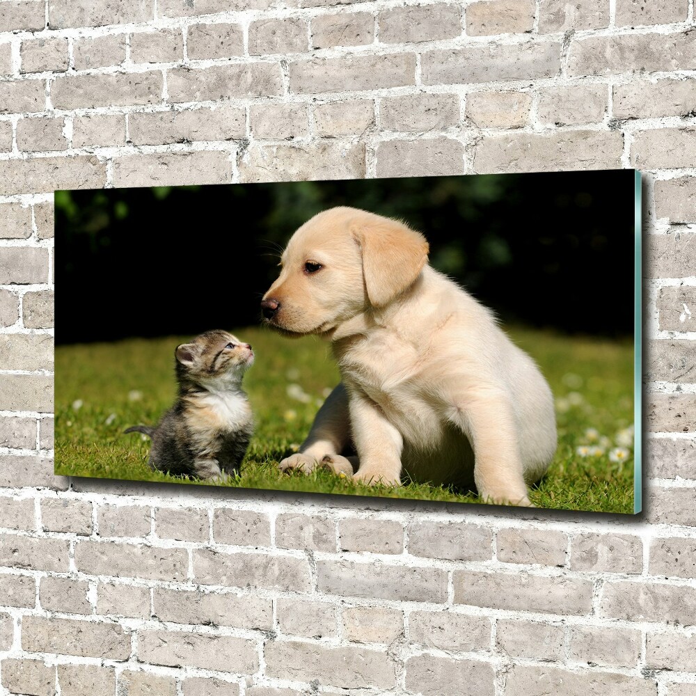 Tableau sur verre Chien et chat dans le pré