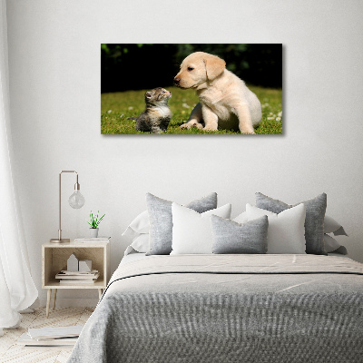 Tableau sur verre Chien et chat dans le pré