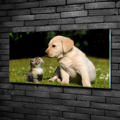 Tableau sur verre Chien et chat dans le pré