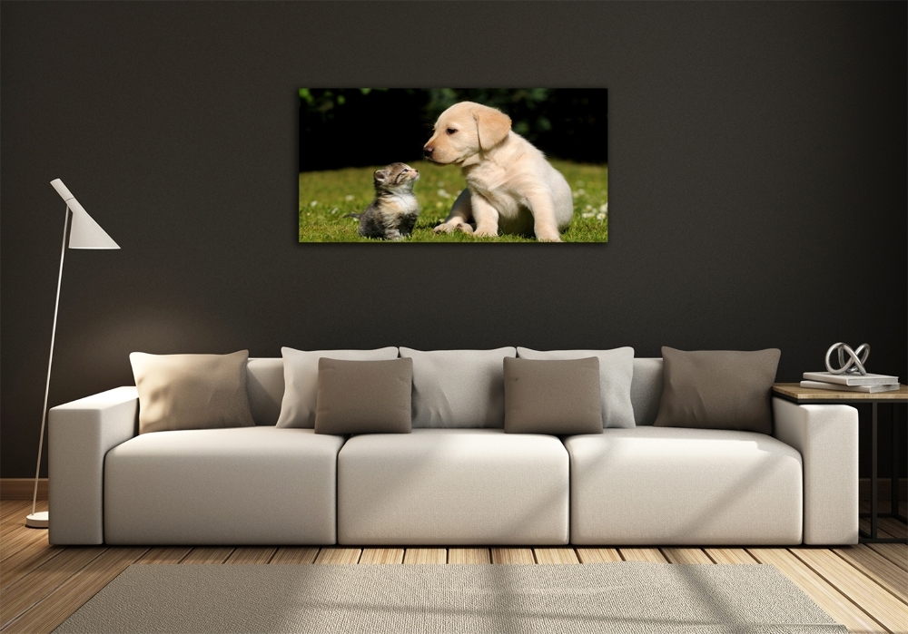 Tableau sur verre Chien et chat dans le pré