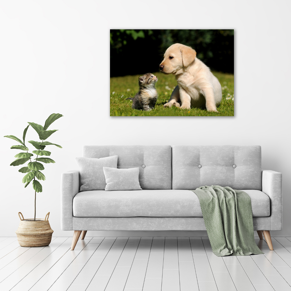 Tableau sur verre Chien et chat dans le pré