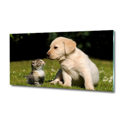 Tableau sur verre Chien et chat dans le pré