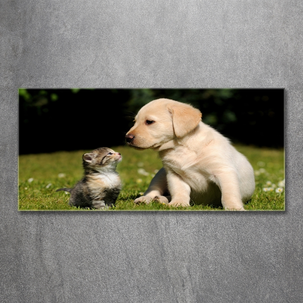 Tableau sur verre Chien et chat dans le pré