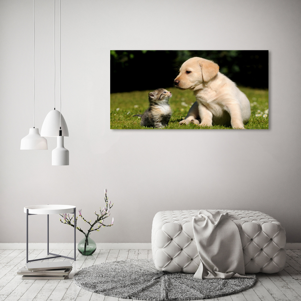 Tableau sur verre Chien et chat dans le pré