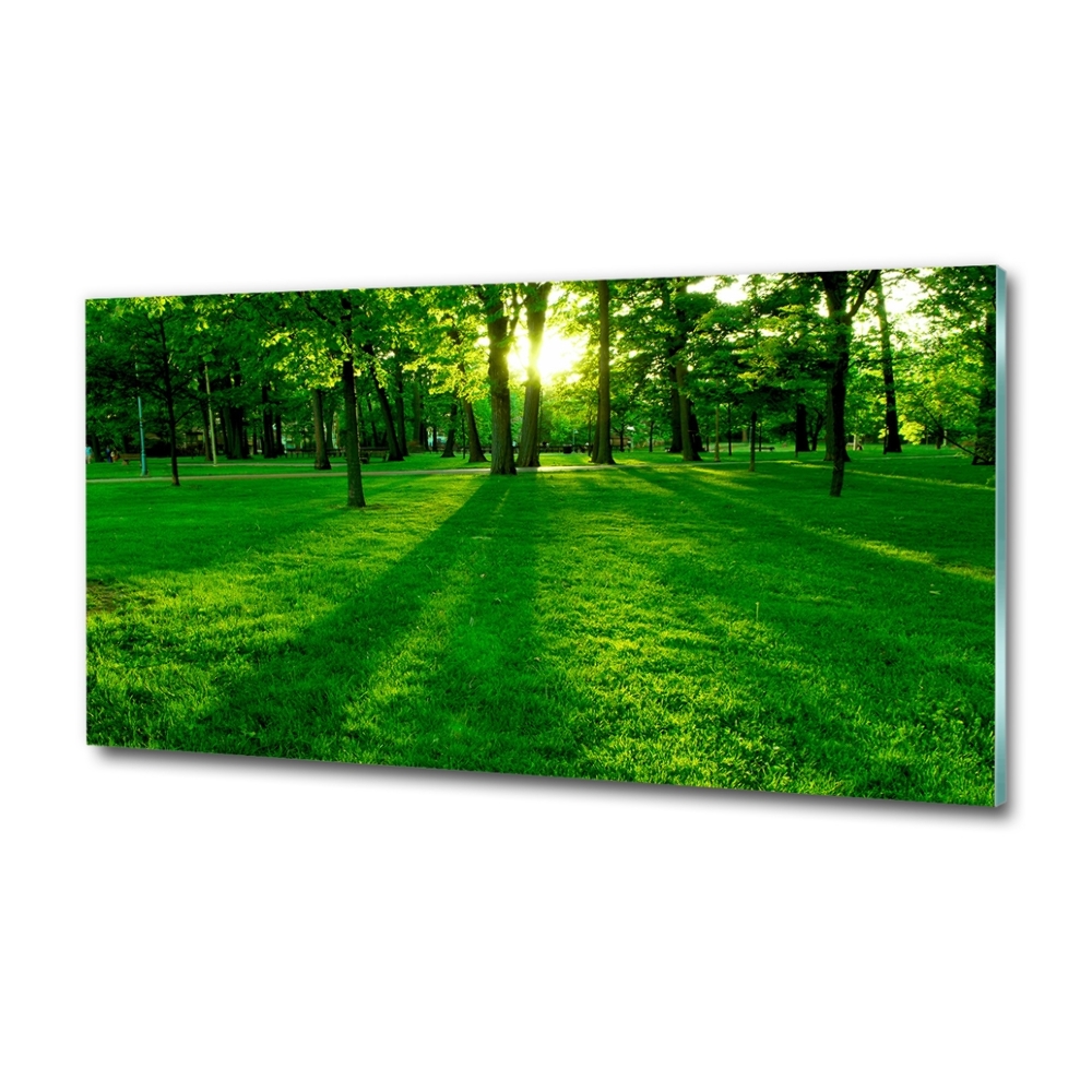 Tableau photo sur verre Herbe dans le parc