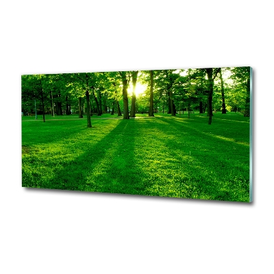 Tableau photo sur verre Herbe dans le parc