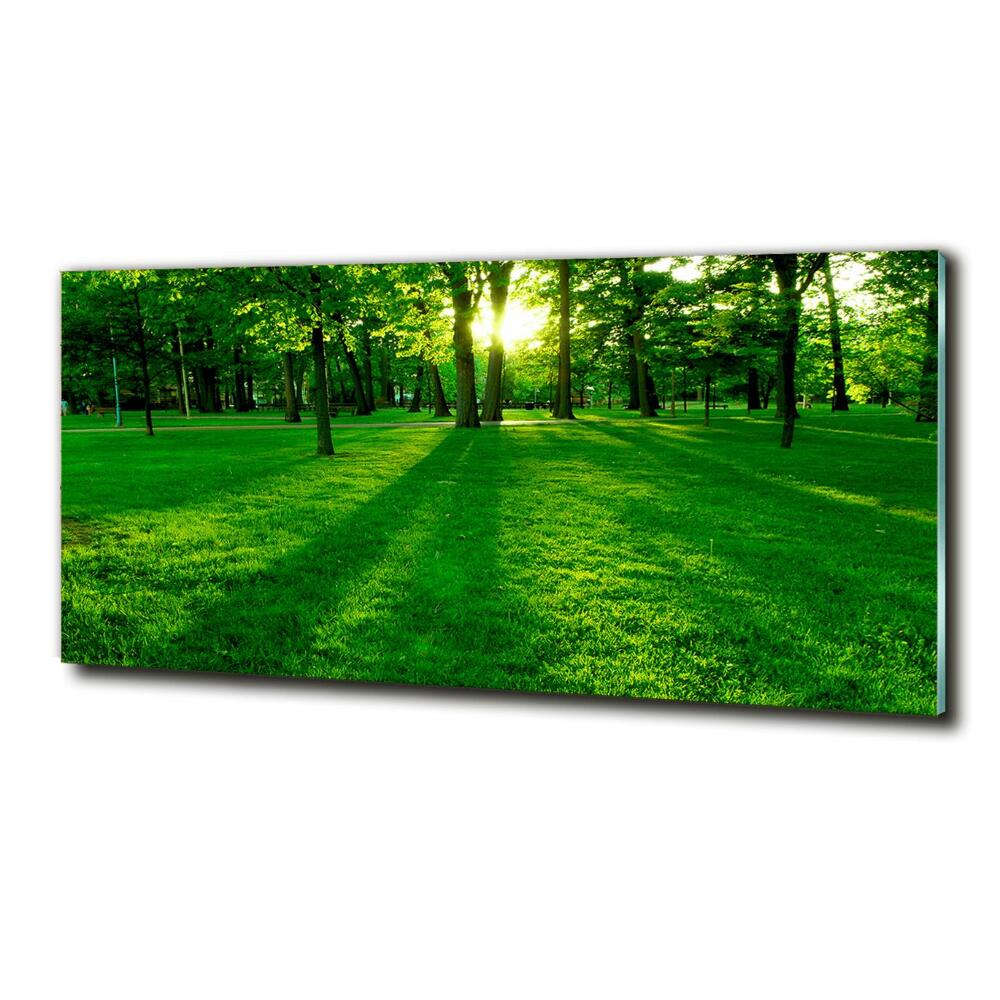 Tableau photo sur verre Herbe dans le parc