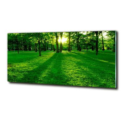 Tableau photo sur verre Herbe dans le parc