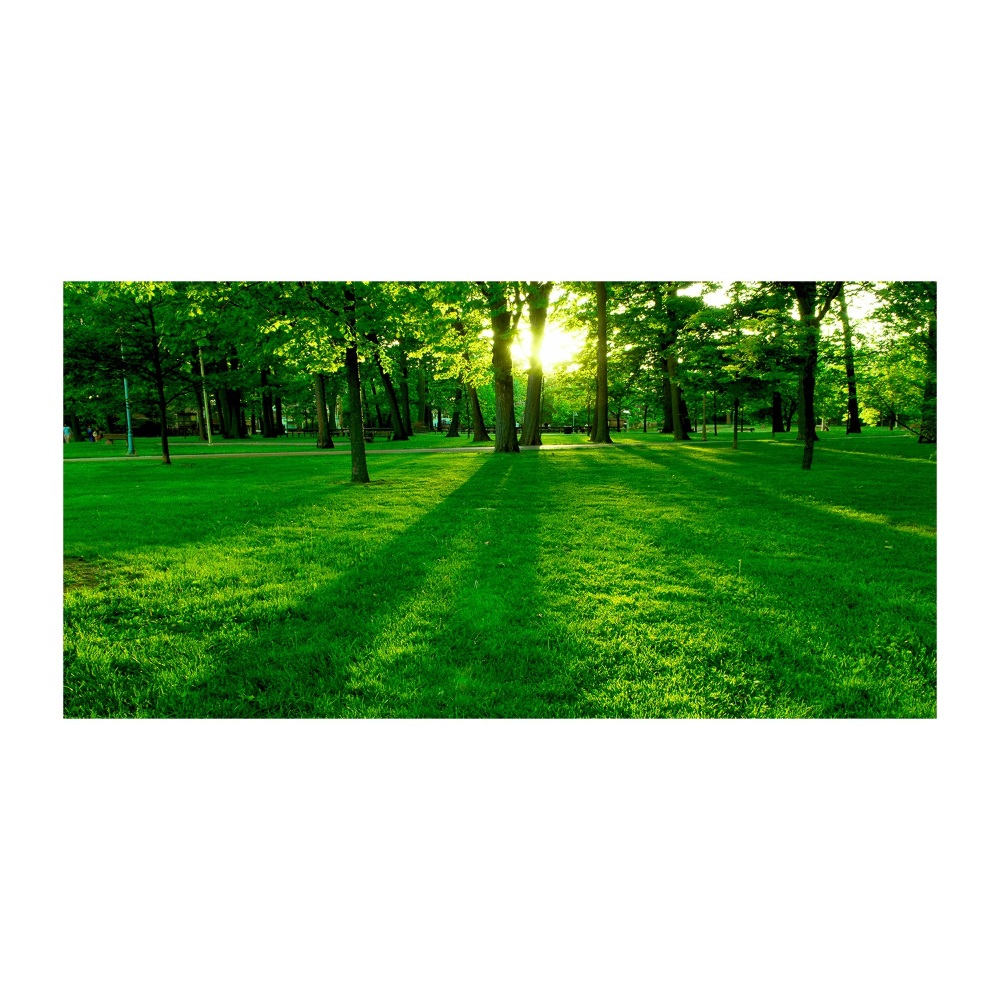 Tableau photo sur verre Herbe dans le parc