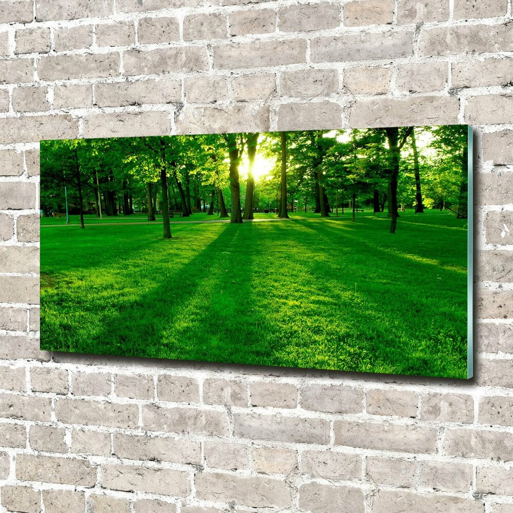 Tableau photo sur verre Herbe dans le parc