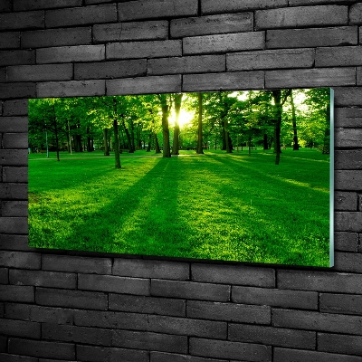 Tableau photo sur verre Herbe dans le parc