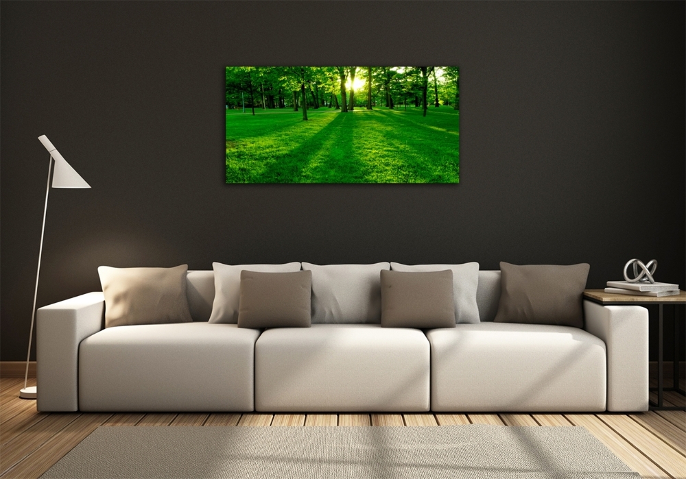 Tableau photo sur verre Herbe dans le parc