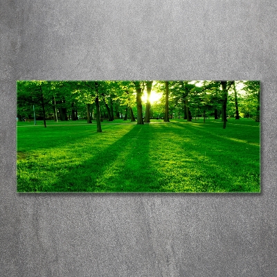 Tableau photo sur verre Herbe dans le parc