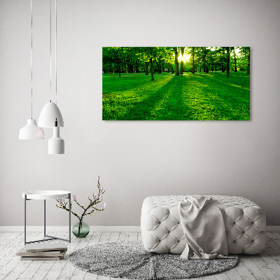 Tableau photo sur verre Herbe dans le parc