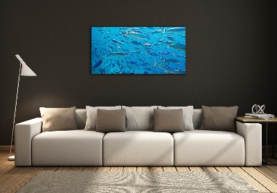 Tableau imprimé sur verre Poisson corail