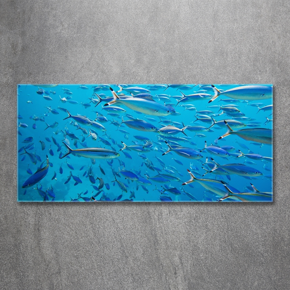 Tableau imprimé sur verre Poisson corail