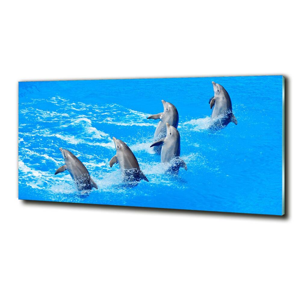 Tableau imprimé sur verre Dauphins