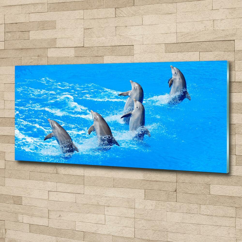 Tableau imprimé sur verre Dauphins