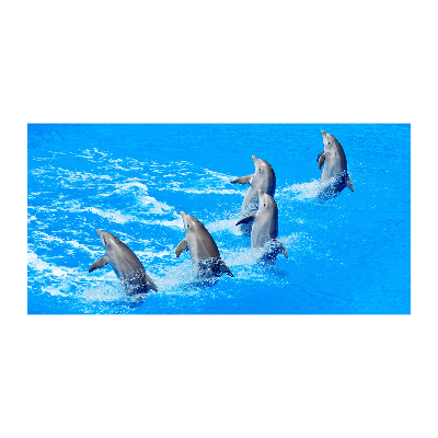 Tableau imprimé sur verre Dauphins