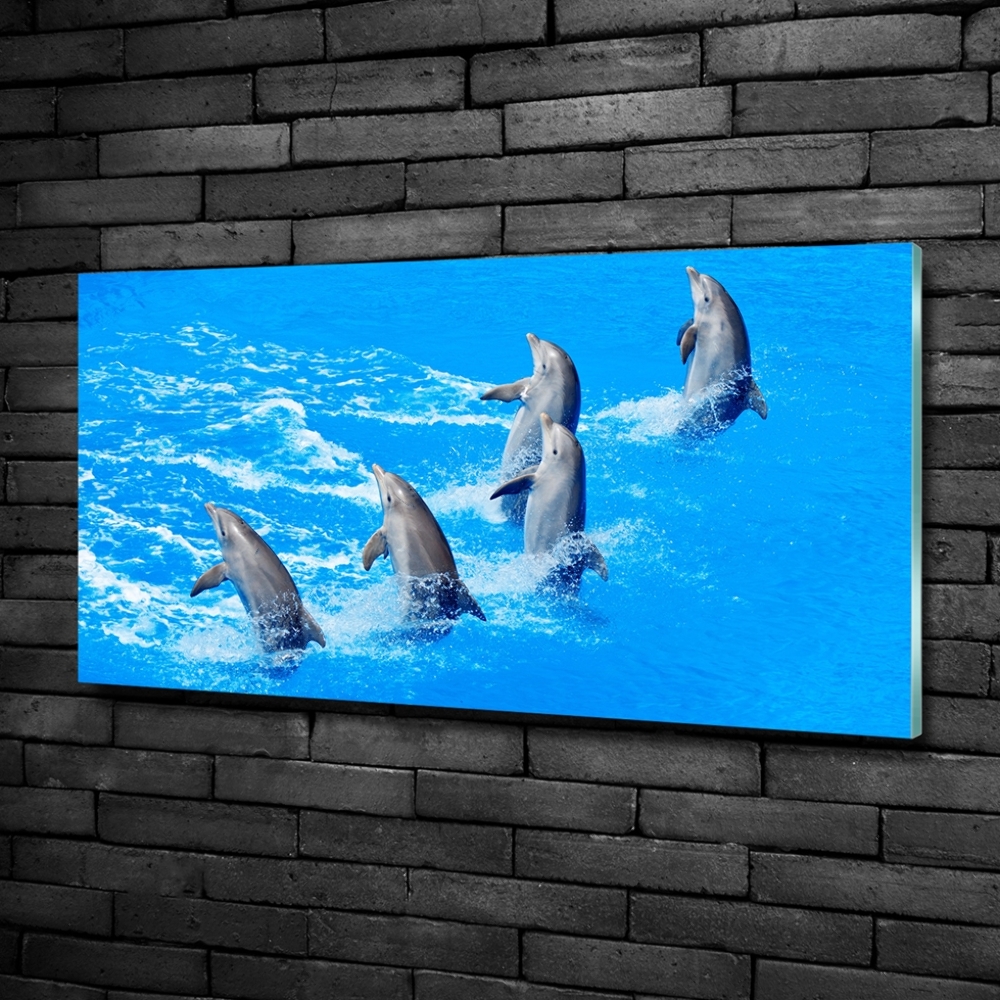 Tableau imprimé sur verre Dauphins