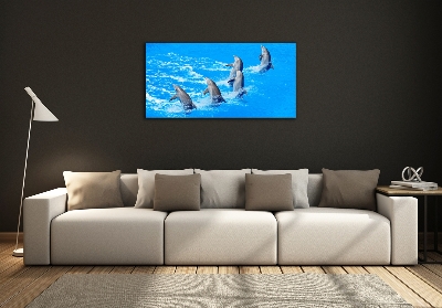 Tableau imprimé sur verre Dauphins