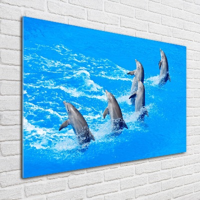 Tableau imprimé sur verre Dauphins