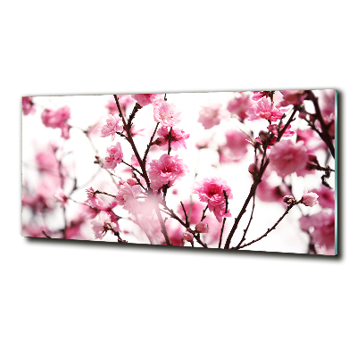 Tableau photo sur verre Fleur de prunier