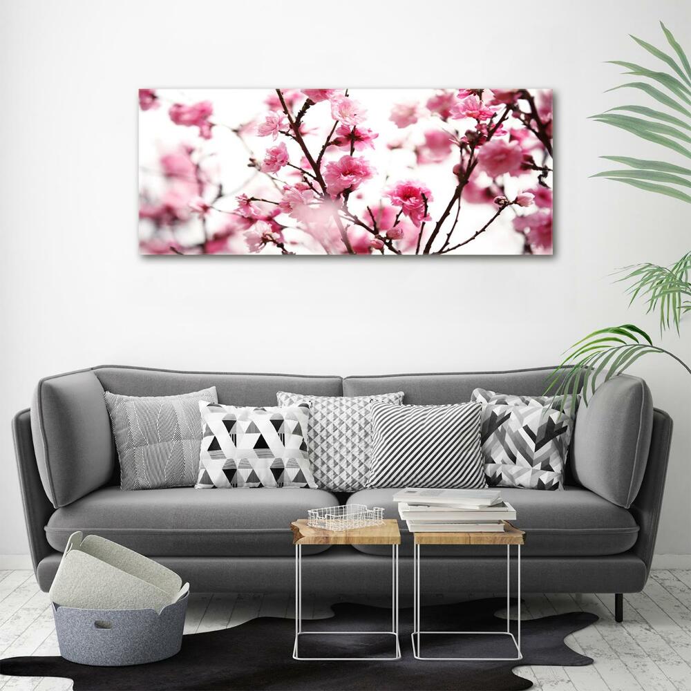 Tableau photo sur verre Fleur de prunier