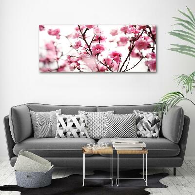 Tableau photo sur verre Fleur de prunier