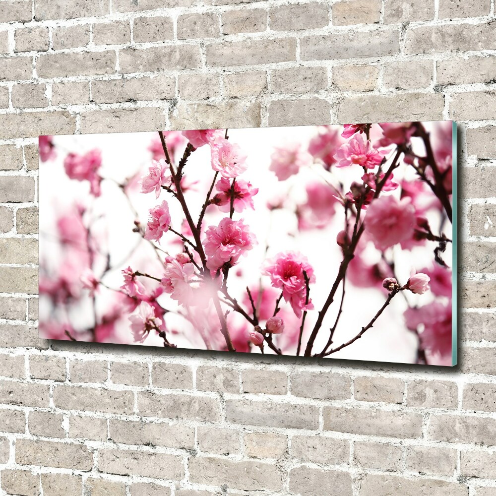 Tableau photo sur verre Fleur de prunier