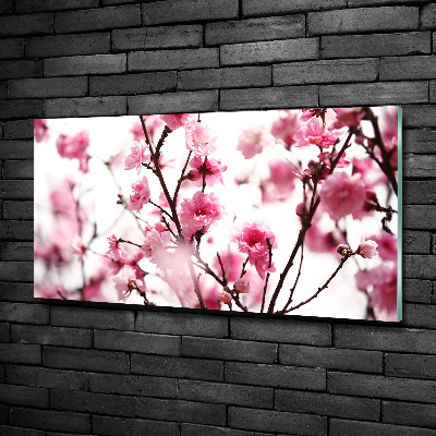 Tableau photo sur verre Fleur de prunier