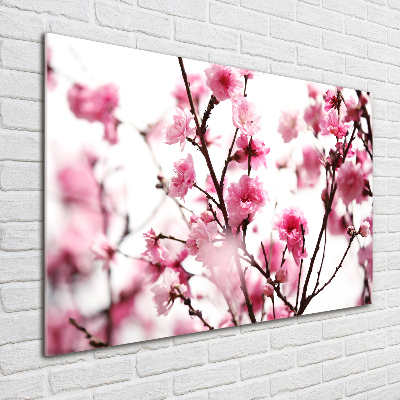 Tableau photo sur verre Fleur de prunier