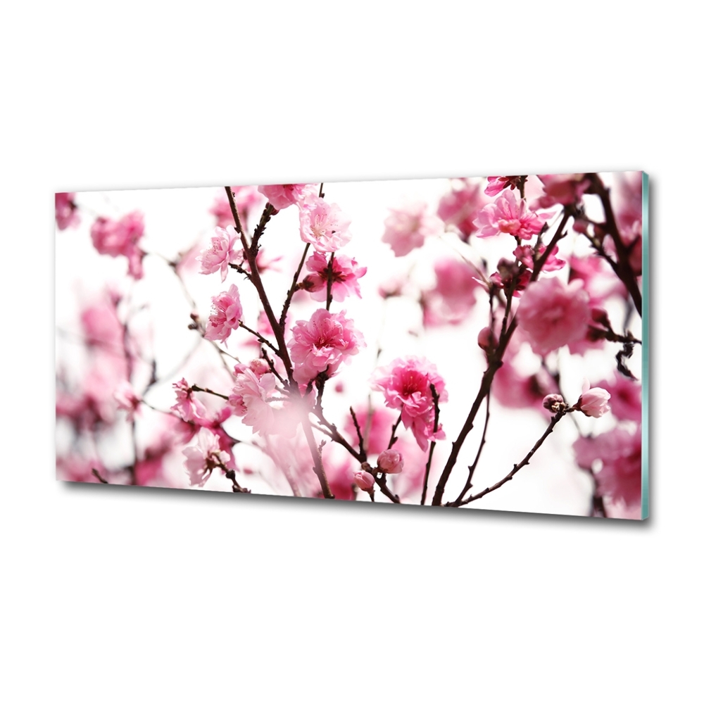 Tableau photo sur verre Fleur de prunier