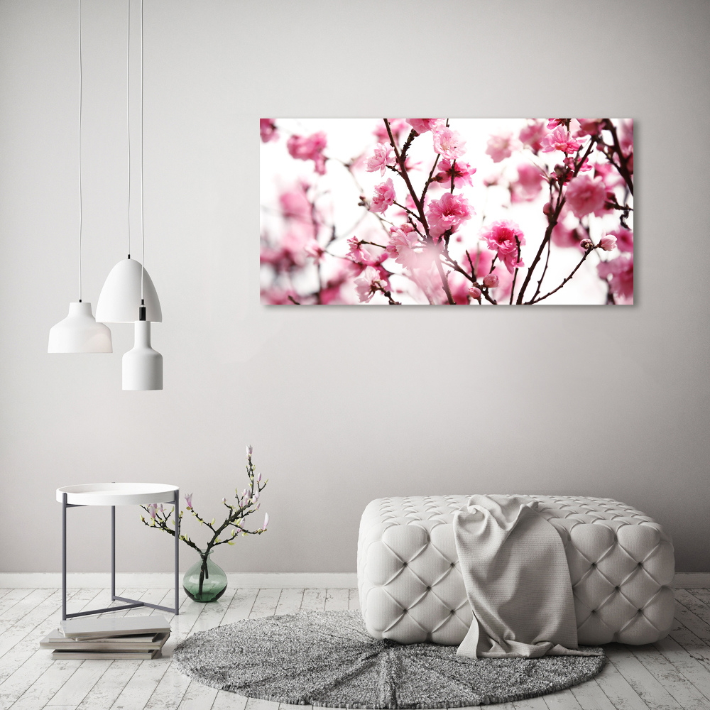 Tableau photo sur verre Fleur de prunier