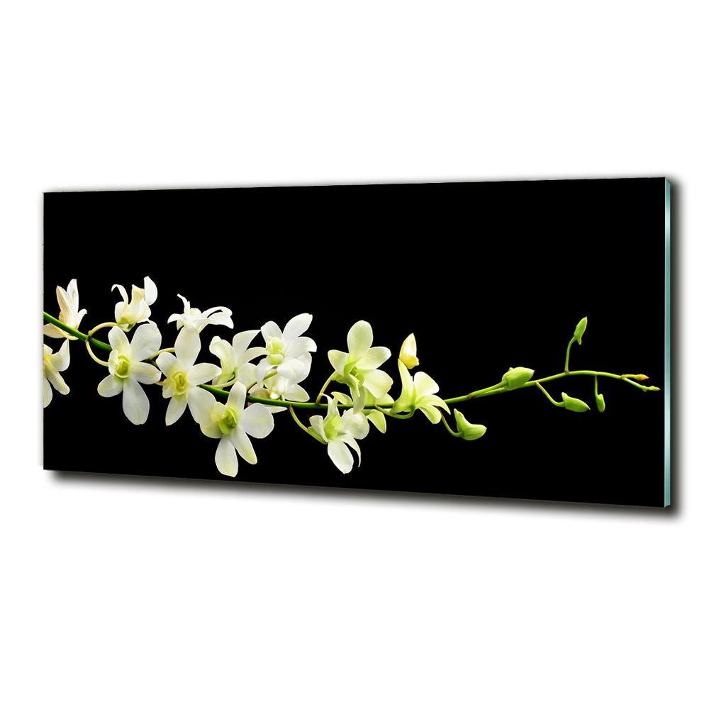 Tableau photo sur verre Orchidée plante