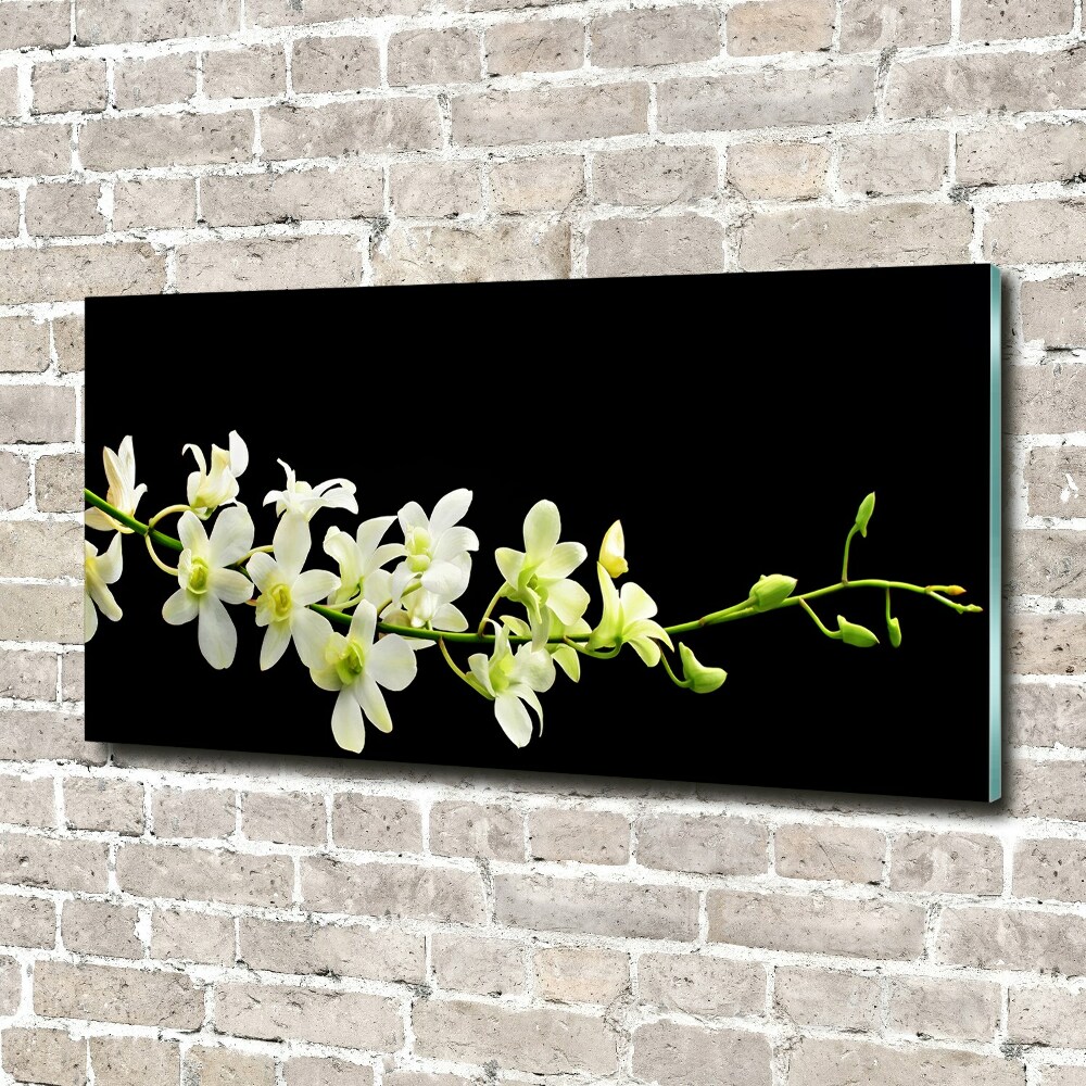 Tableau photo sur verre Orchidée plante