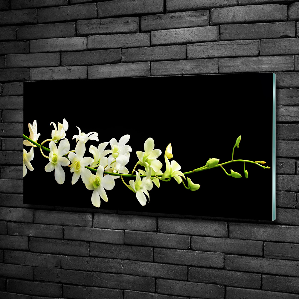 Tableau photo sur verre Orchidée plante