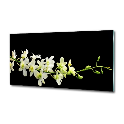 Tableau photo sur verre Orchidée plante