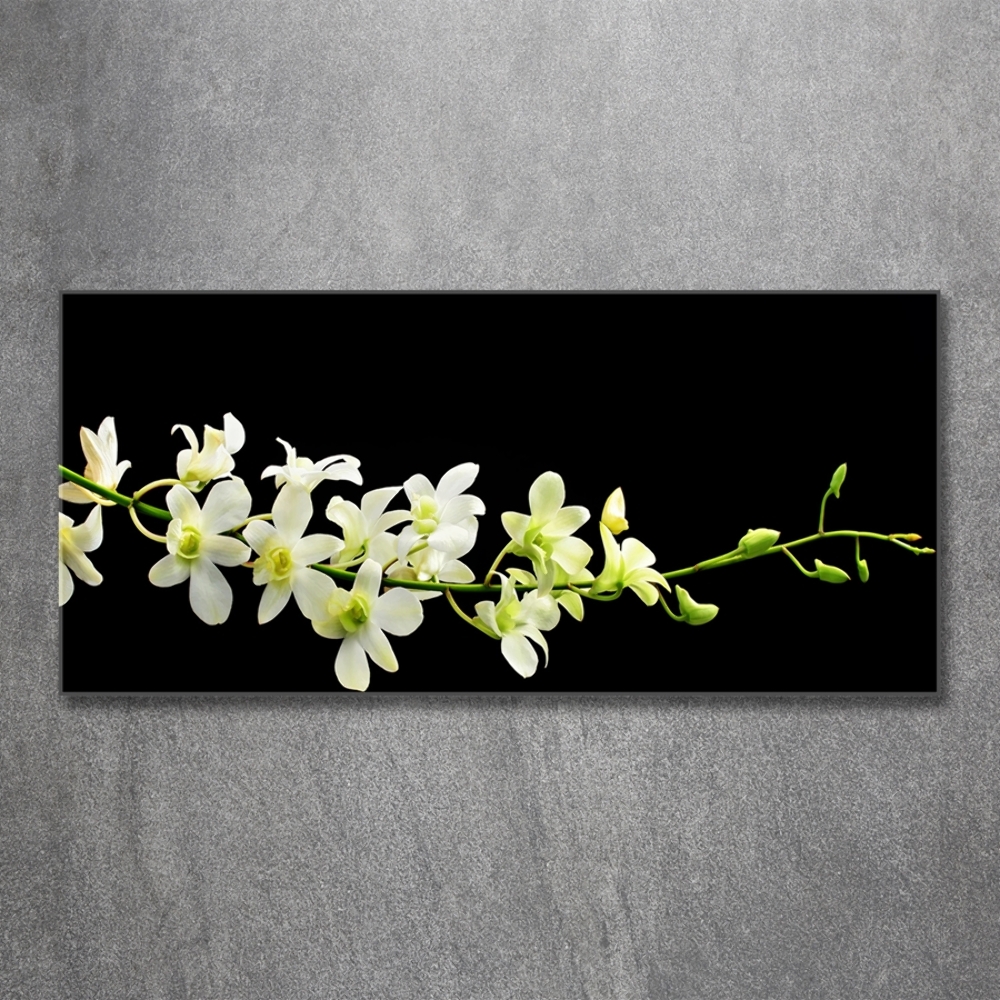 Tableau photo sur verre Orchidée plante