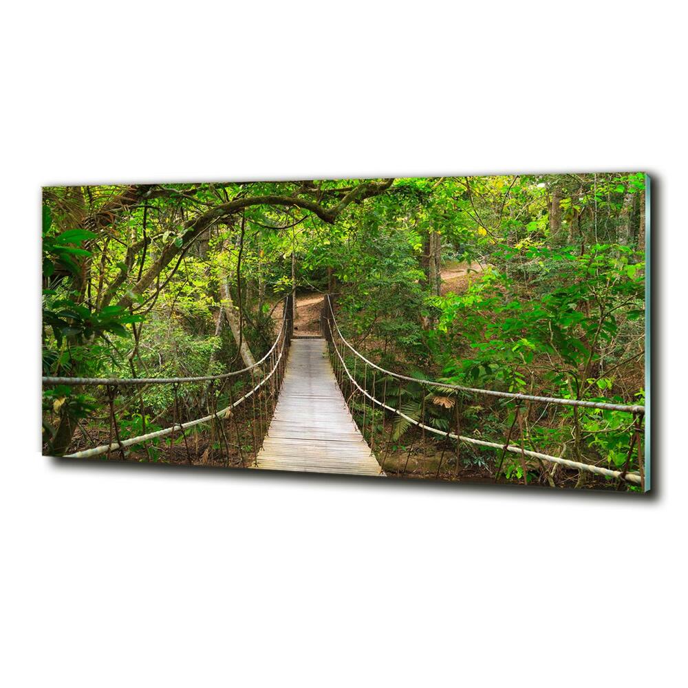 Tableau verre imprimé Pont de corde