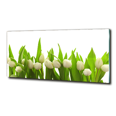 Tableau photo sur verre Tulipes blanches