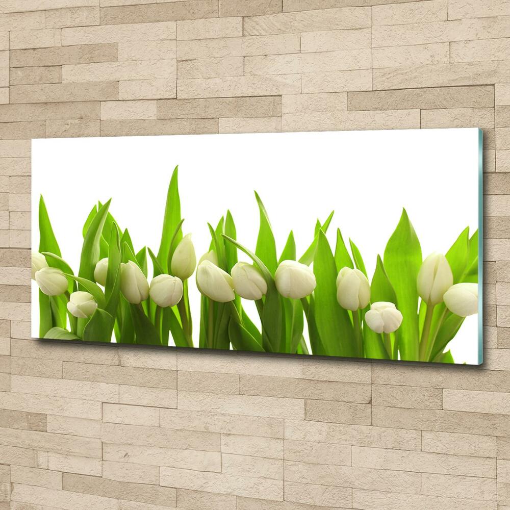 Tableau photo sur verre Tulipes blanches