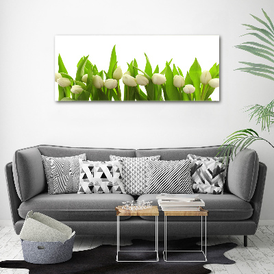 Tableau photo sur verre Tulipes blanches