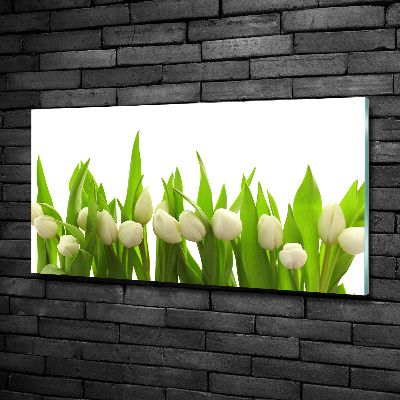 Tableau photo sur verre Tulipes blanches