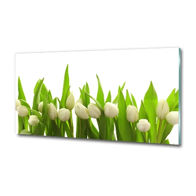 Tableau photo sur verre Tulipes blanches