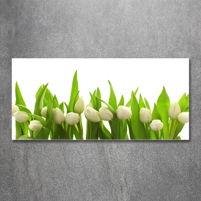 Tableau photo sur verre Tulipes blanches