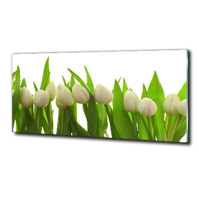 Tableau en verre Tulipes blanches