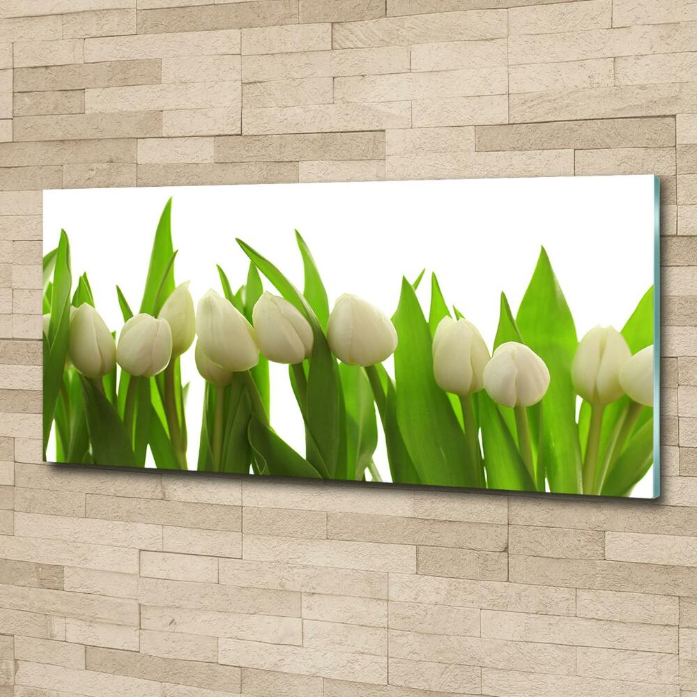 Tableau en verre Tulipes blanches