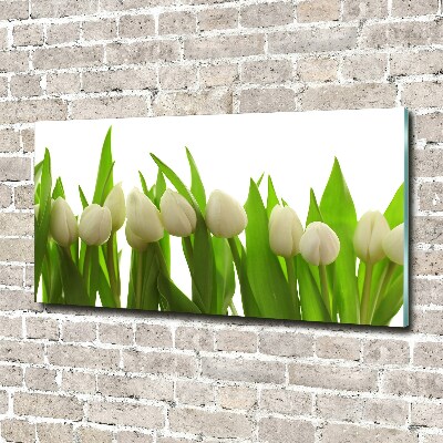 Tableau en verre Tulipes blanches