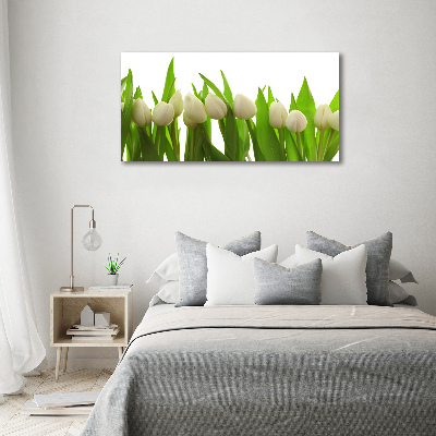 Tableau en verre Tulipes blanches